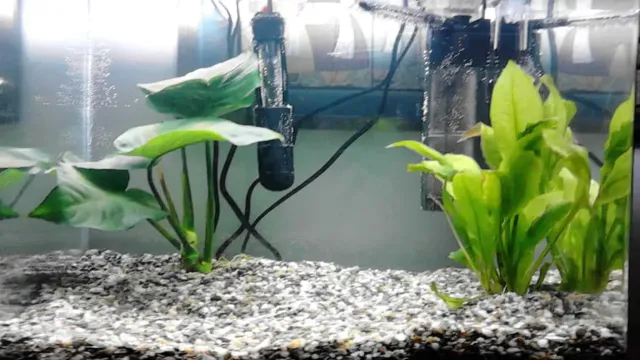 How to Filter Water in My Aquarium: A Comprehensive Guide