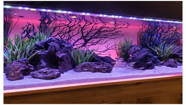 How to Find Aquarium Decorations Outside: Tips and Ideas