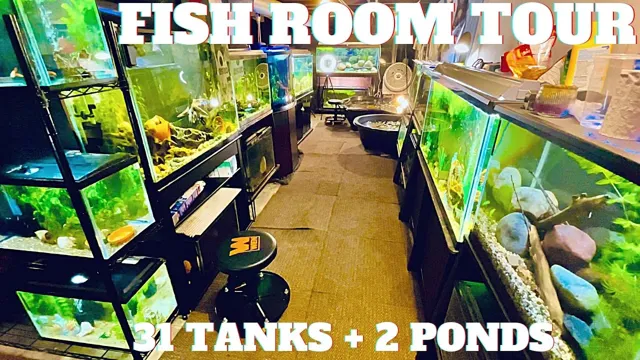 how to find aquarium fish clubs in my area