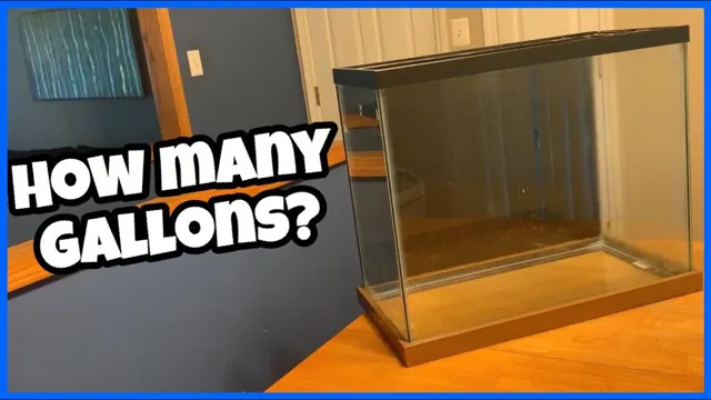 how to find aquarium gallon size