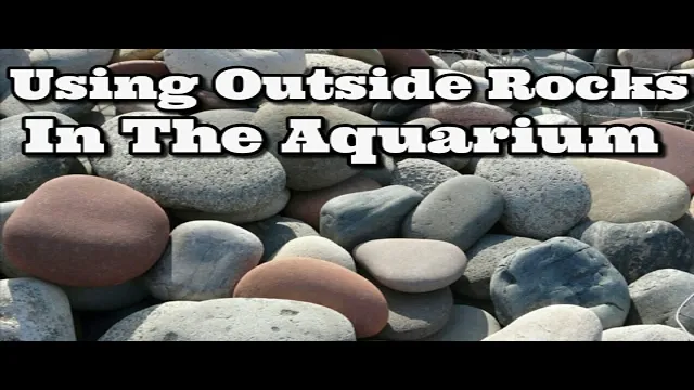 how to find aquarium safe rocks