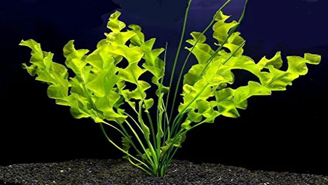 How to Find the Best Bulb for Aquarium Plants: A Comprehensive Guide