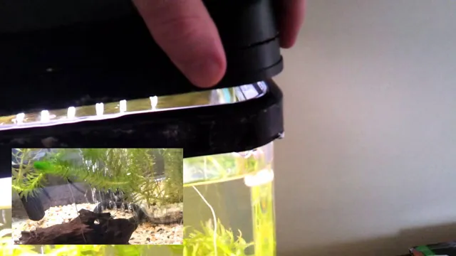 How to Find a Leak in Your Aquarium: Step-by-Step Guide