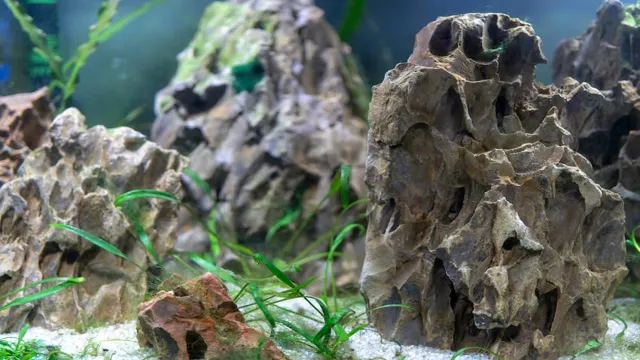 how to find rocks for aquarium