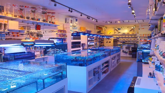 how to find supplier for a fish aquarium store