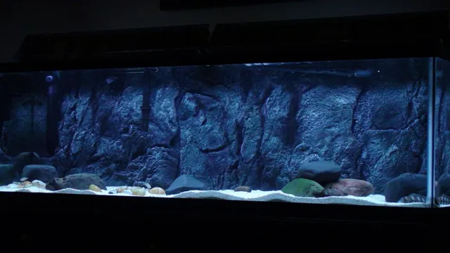 how to fit a 3d aquarium background