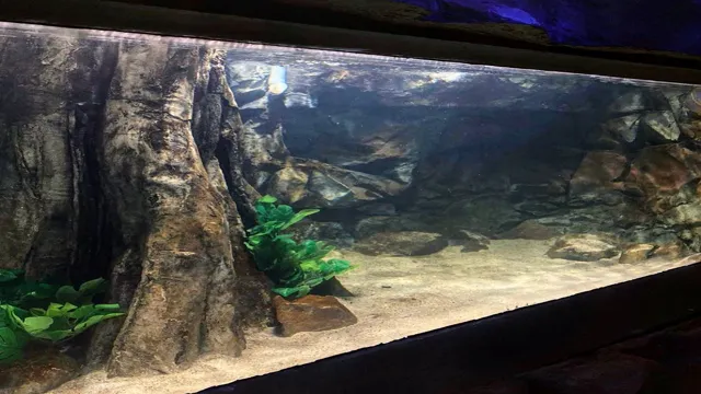 How to Fit a 3D Aquarium Background: Step-by-Step Guide for a Stunning Aquascape!