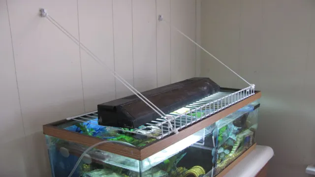 How to Fit a Wire Top to Aquarium: A Step-by-Step Guide for Maximum Safety and Security