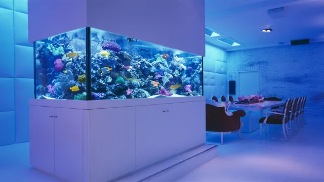 how to fit large aquariums in your house
