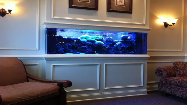 How to Fit Large Aquariums in Your House: Tips and Tricks for a Perfect Fit