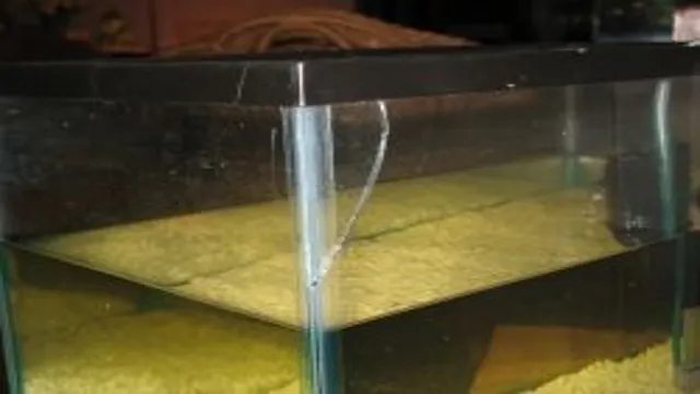 How to Fix a Cracked Fish Aquarium with Caulk: A Step-by-Step Guide