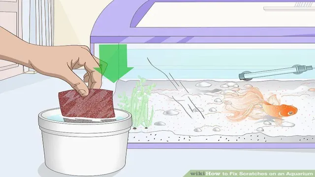 How to Fix a Scratched Glass Aquarium: A Complete Guide to Restoring the Clarity of Your Tank