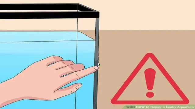 How to fix acrylic aquarium leak: Step-by-step guide for leak-proofing