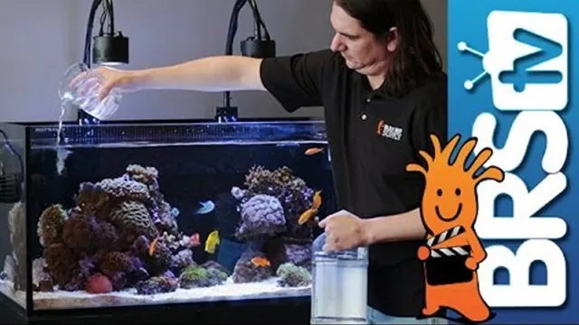 How to Fix Alkaline Aquarium Water: Tips and Tricks for Optimal pH Levels