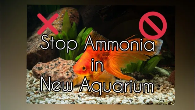 how to fix ammonia in aquarium