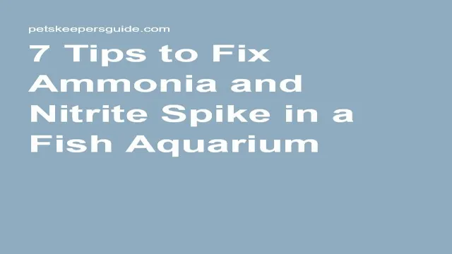 how to fix ammonia spike in aquarium