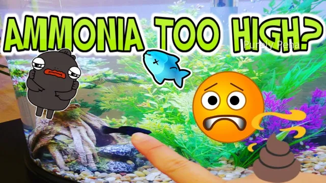 How to Fix an Ammonia Spike in Your Aquarium and Keep Your Fish Safe: Quick and Easy Solutions