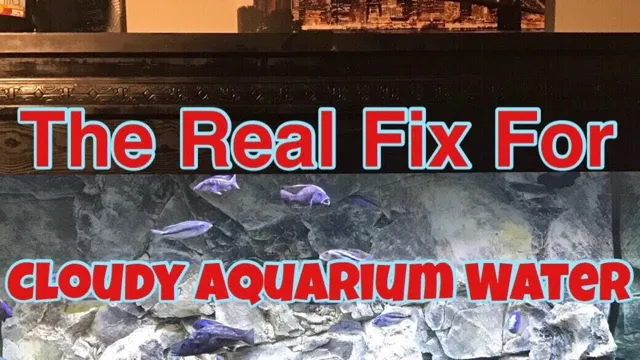 how to fix aquarium cloudy water
