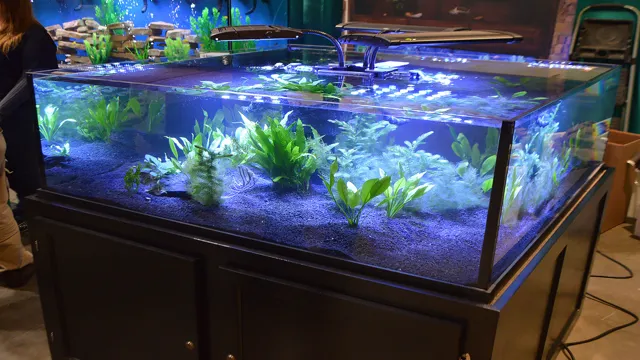 how to ger my aquarium oh to 8.0