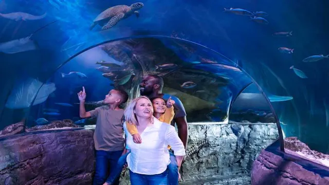 How to Get 2 for 1 London Aquarium Tickets: Insider Tips and Deals