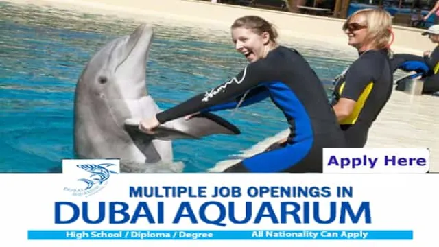 how to get a aquarium job