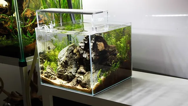 How to Get a Career in Aquariums: Tips and Tricks for Success