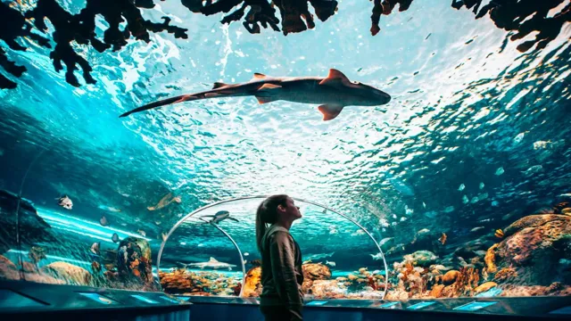 how to get a good price at ripleys aquarium