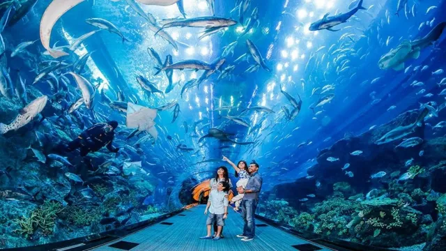 How to Get a Job at an Aquarium or Zoo: A Step-by-Step Guide