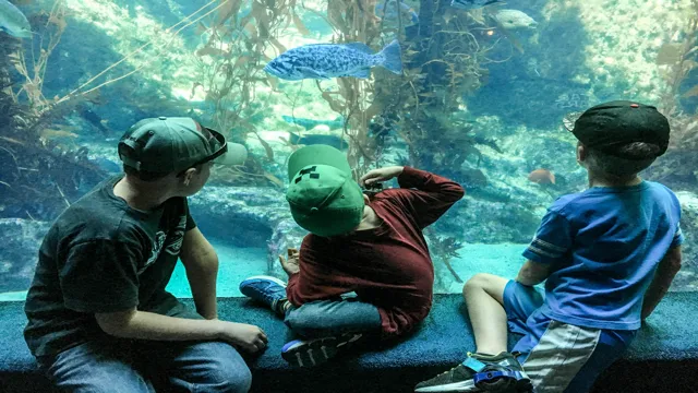 How to Get a Job at Birch Aquarium: Tips and Tricks