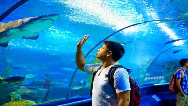 How to Get a Job at the Aquarium: Tips and Tricks for Landing Your Dream Role