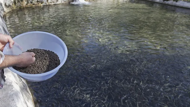how to get a job feeding fish at an aquarium