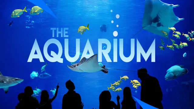 how to get a refund from georgia aquarium