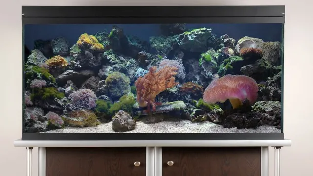 how to get a saltwater aquarium started