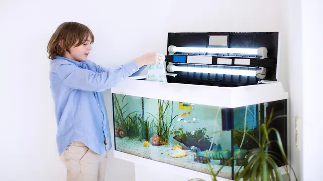 How to Get a Saltwater Aquarium Started: The Ultimate Guide for Beginners