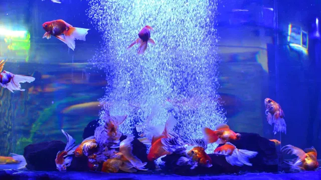 how to get air bubbles in aquarium