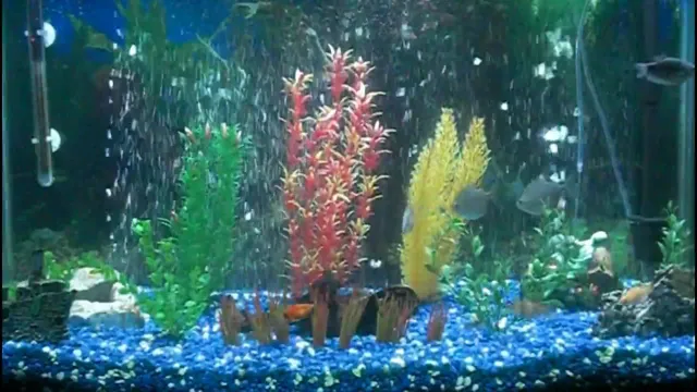 How to Get Air Bubbles in Aquarium: A Beginner’s Guide to Enhance Water Circulation and Oxygenation