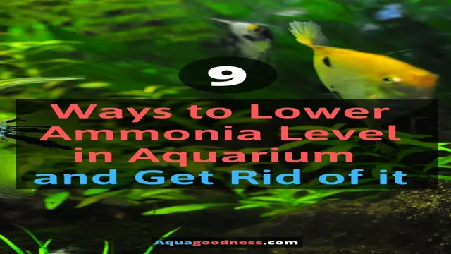how to get ammonia down in aquarium