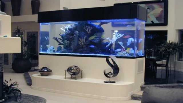 How to Get an Aquarium from Tanked: A Step-by-Step Guide to Your Dream Tank