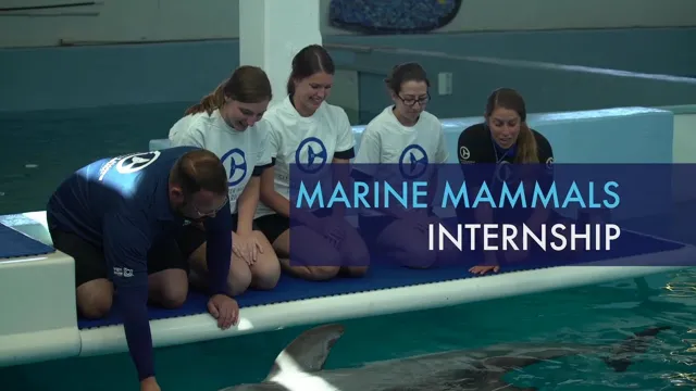 how to get an aquarium internship