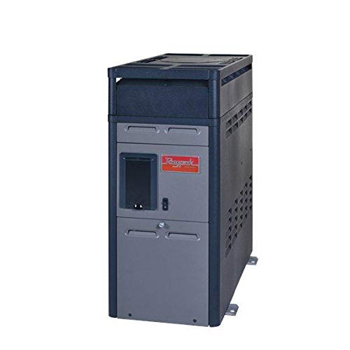 Raypak 014786-156A Propane Gas Pool Heater 150K BTU for 0-1999ft ...